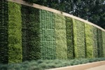 道路景觀提升圍墻植物墻
