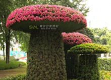 移動(dòng)花園知多少？