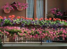 陽(yáng)臺(tái)應(yīng)如何建造規(guī)劃才對(duì)陽(yáng)臺(tái)綠化有利？