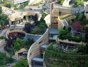 大學校園生態景觀立體綠化解決方案