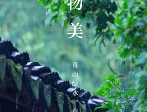錦上添花 | 植物設計中的“小心思”