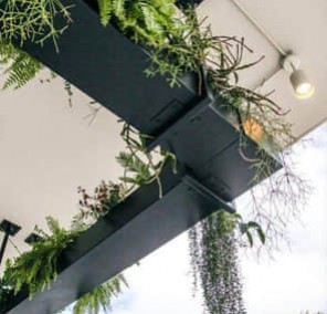 索爾集團(tuán)價(jià)值觀