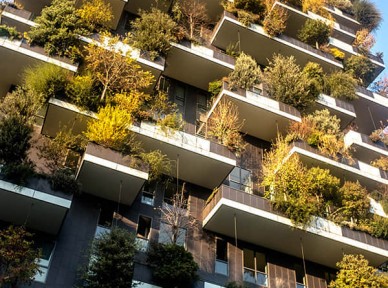 小區(qū)立體綠化解決方案