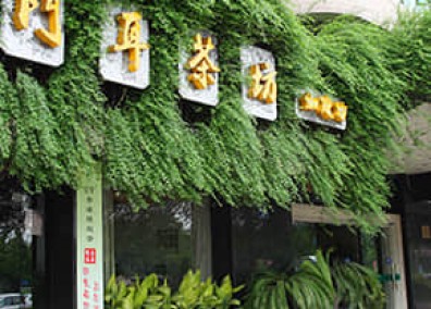 門店立體綠化解決方案