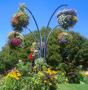 吊盆式組合花樹