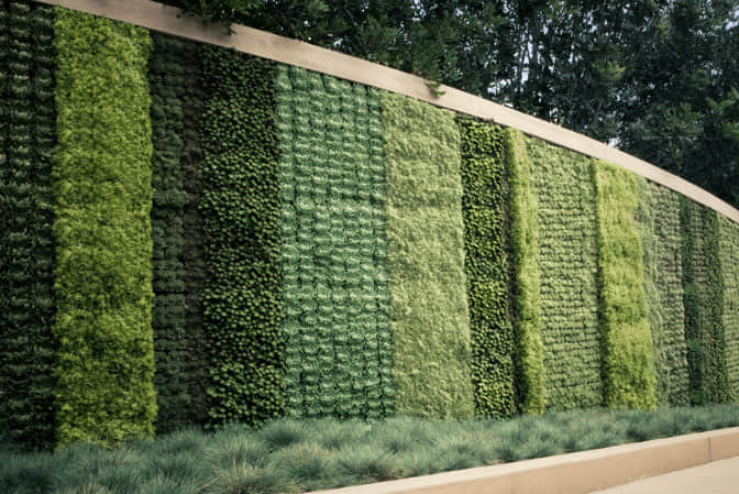 道路景觀提升圍墻植物墻