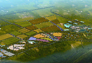 高效農業型美麗鄉村