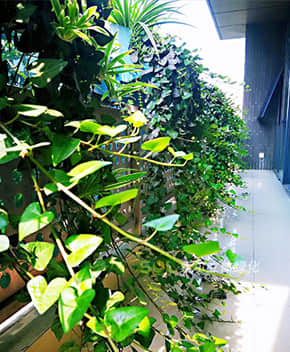 陽臺(tái)花園解決方案