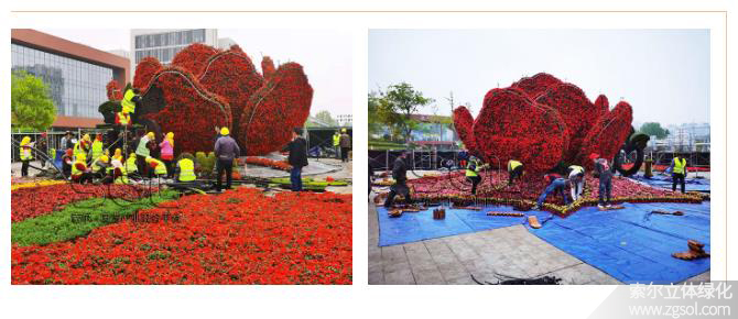 27山東青島膠州市民文化中心五一立體花壇“幸福花開” (14).jpg